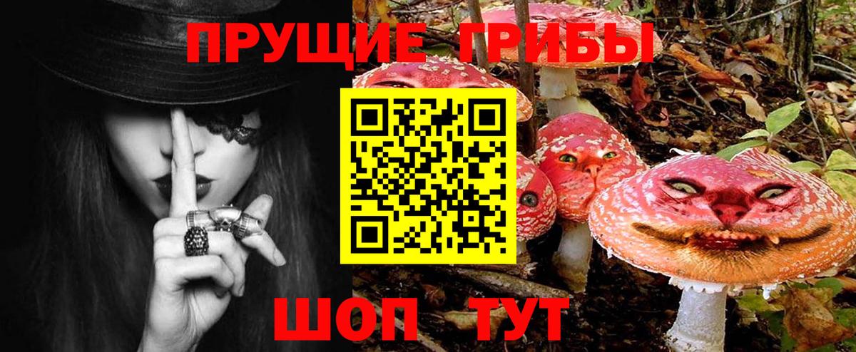 Псилоцибиновые грибы ЛСД Тамбов
