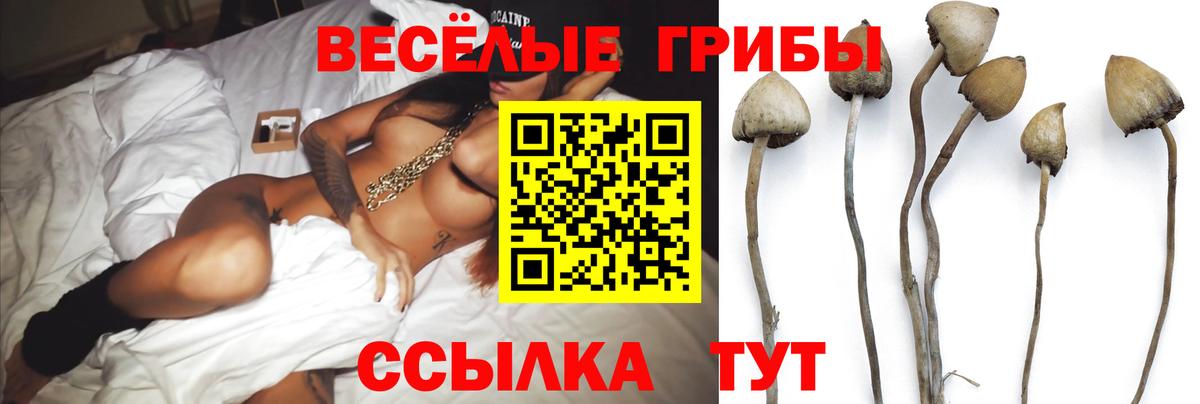 Псилоцибиновые грибы мицелий  Вход с VPN  где купить   Тамбов 