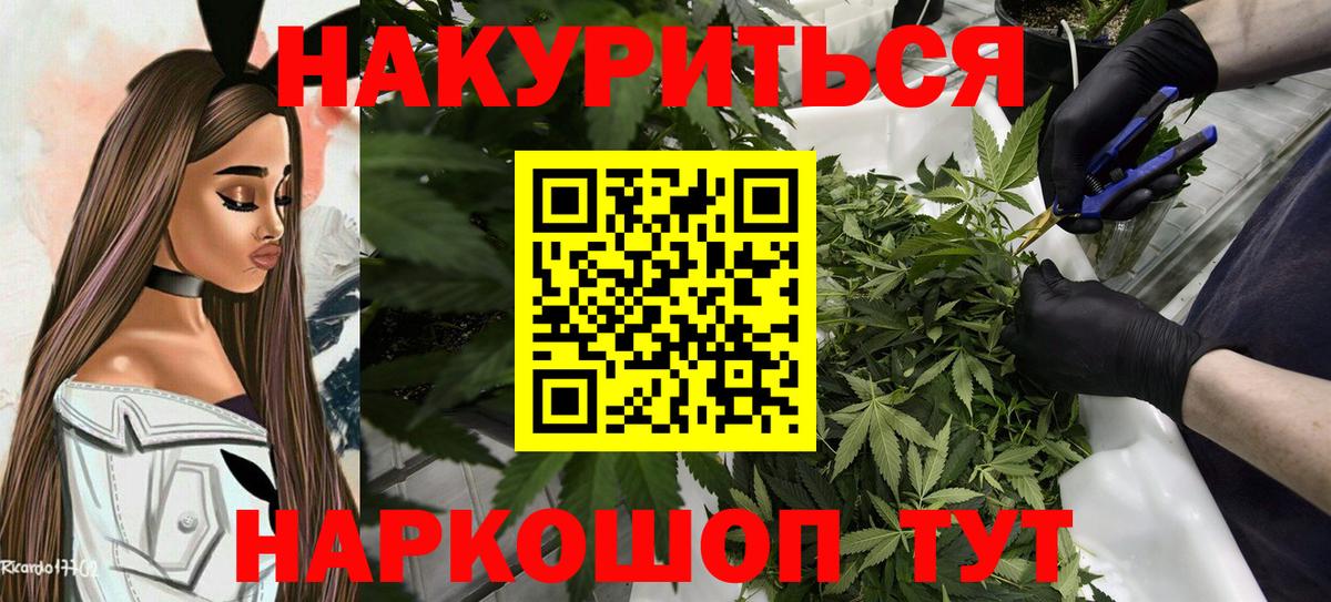 Шишки марихуана Ganja  Вход с VPN  Тамбов  Шишки марихуана планчик 